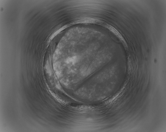 X0000085730842200704091442