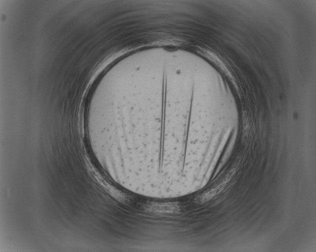 X0000085730843200704091442