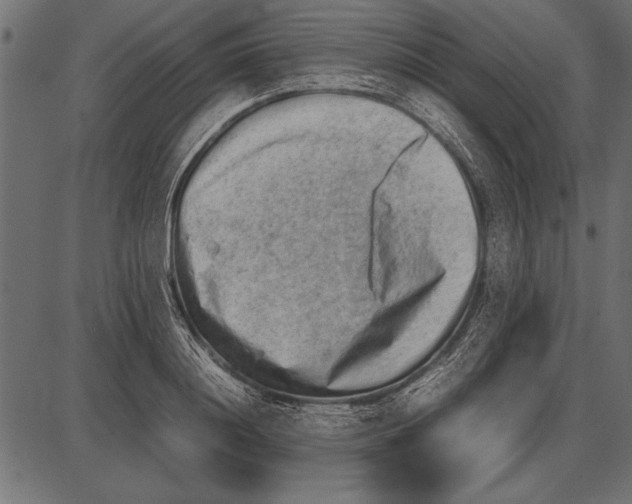 X0000085730844200704091442