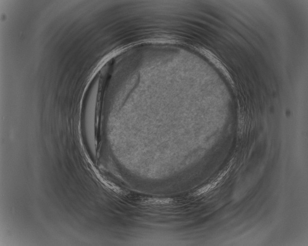 X0000085730845200704091442