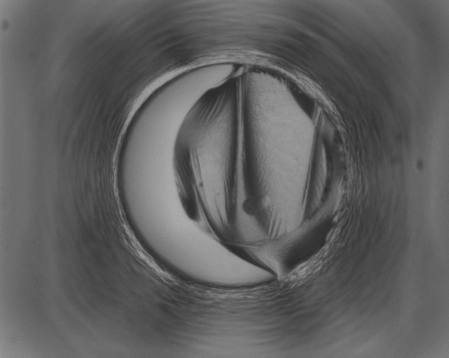 X0000085730846200704091442