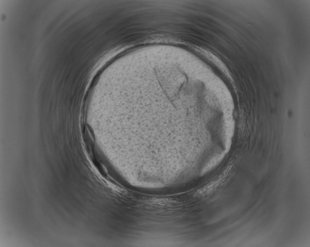 X0000085730847200704091442