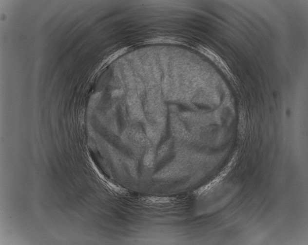 X0000085730849200704091442