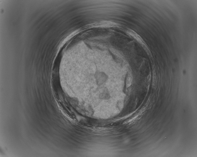 X0000085730850200704091442