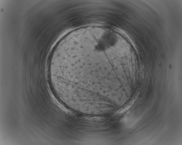 X0000085730851200704091442