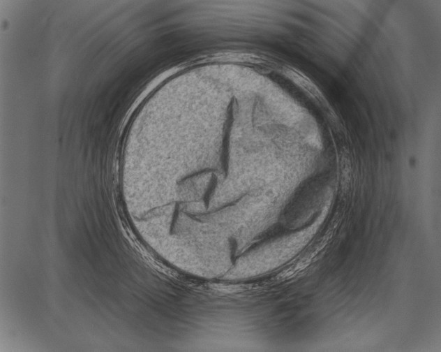 X0000085730852200704091442