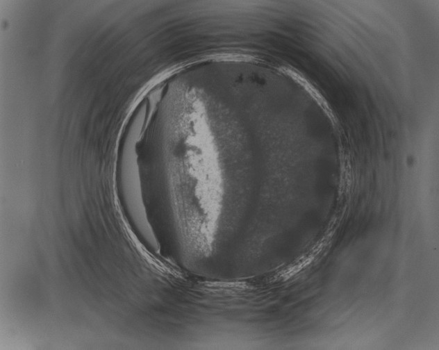 X0000085730853200704091442