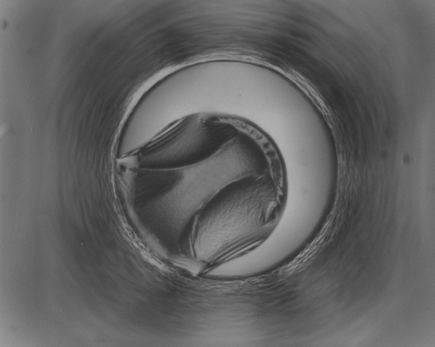 X0000085730854200704091442