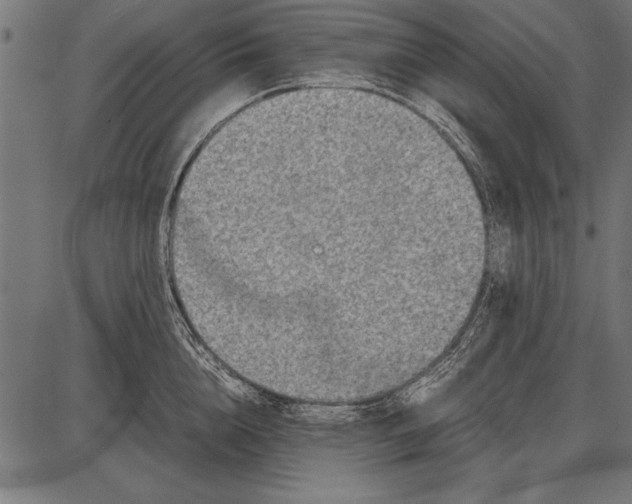 X0000085730856200704091442