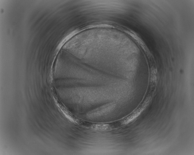 X0000085730858200704091442