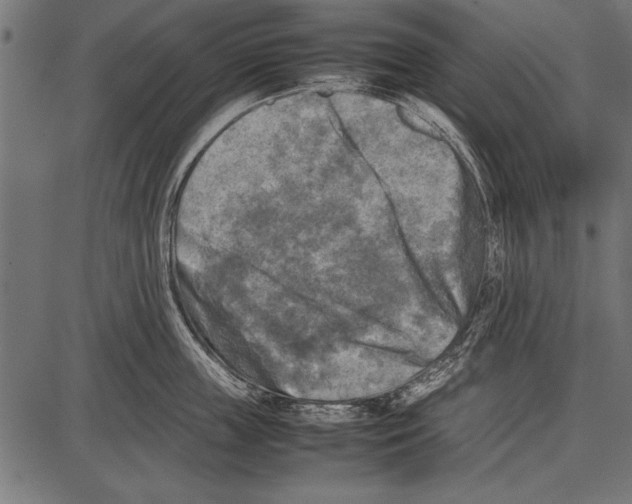 X0000085730859200704091442