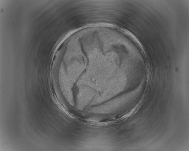 X0000085730860200704091442