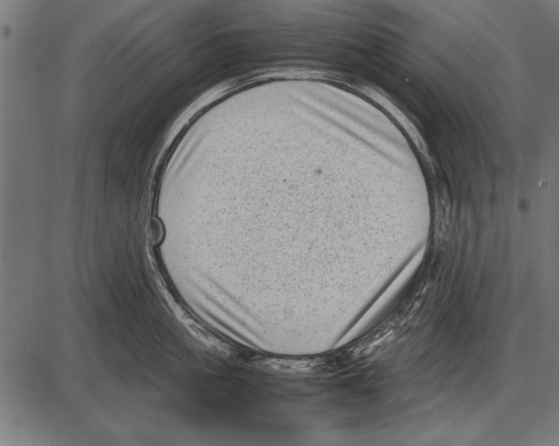 X0000085730861200704091442