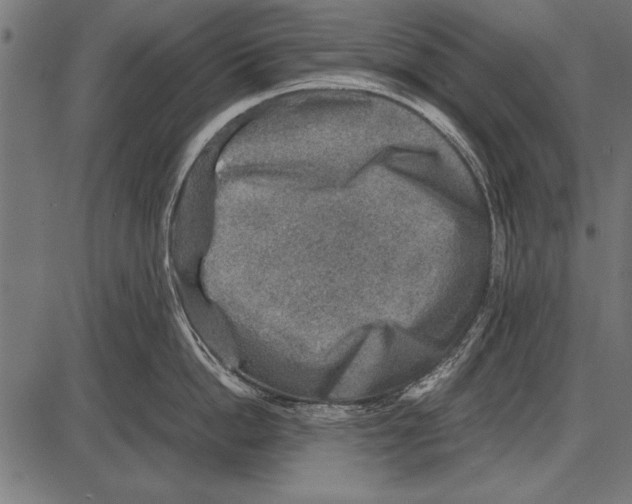 X0000085730862200704091442