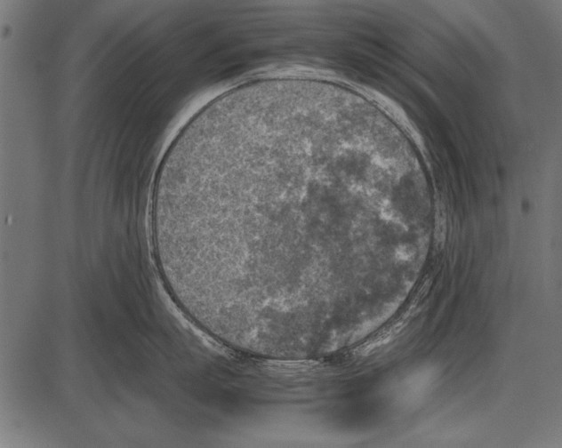 X0000085730863200704091442