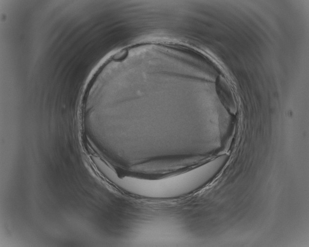 X0000085730864200704091442