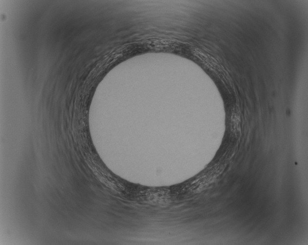 X0000085730865200704091442