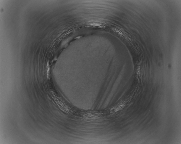 X0000085730868200704091441