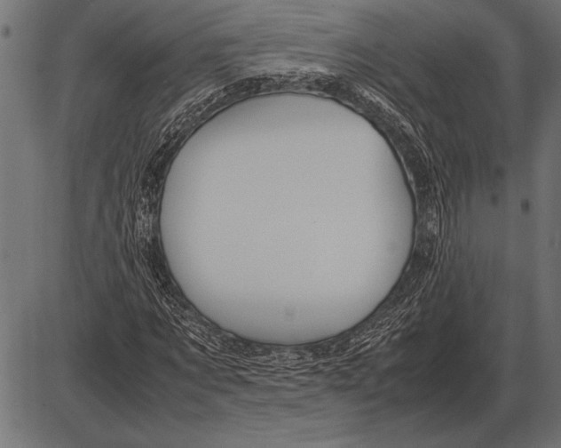 X0000085730869200704091441