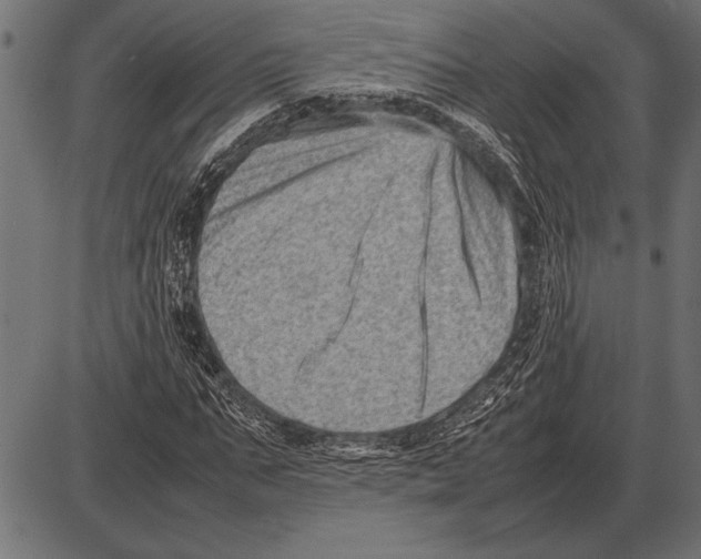 X0000085730871200704091441