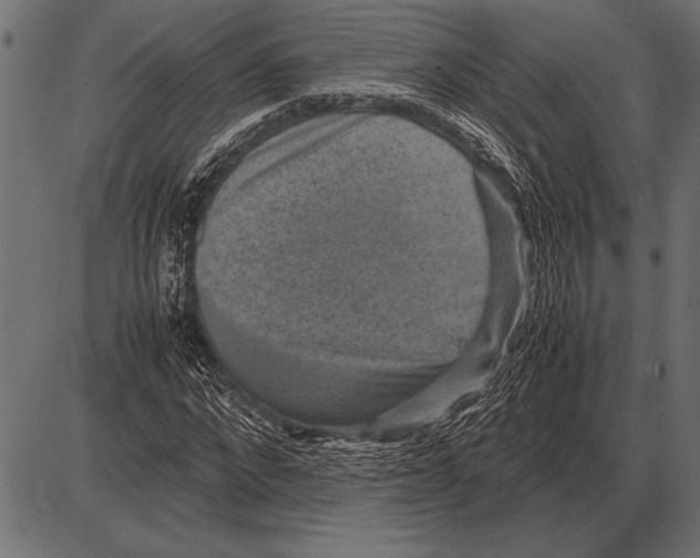 X0000085730872200704091441