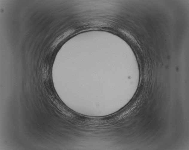 X0000085730873200704091441