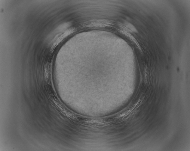 X0000085730874200704091441