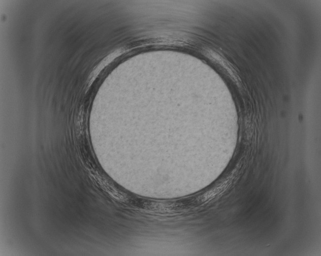 X0000085730875200704091441