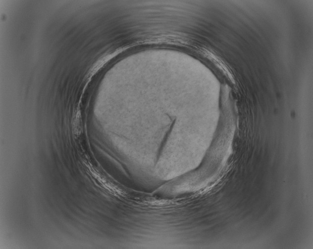 X0000085730876200704091441