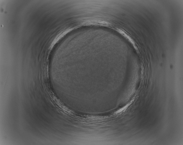 X0000085730877200704091441