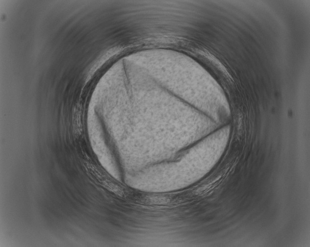 X0000085730878200704091441