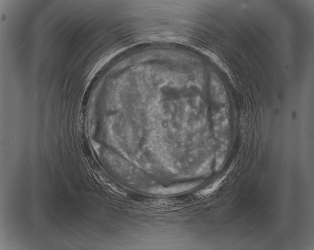 X0000085730879200704091441