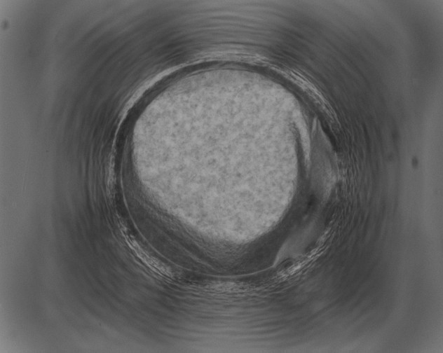 X0000085730880200704091441