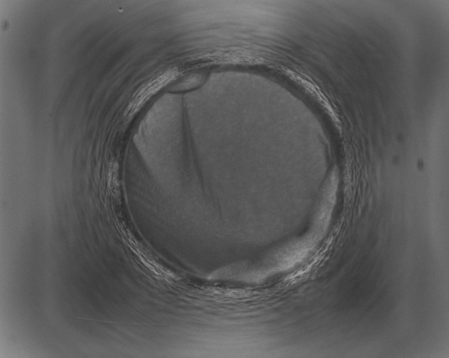 X0000085730881200704091441