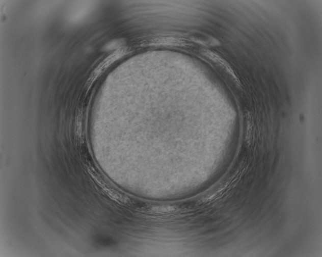 X0000085730882200704091441