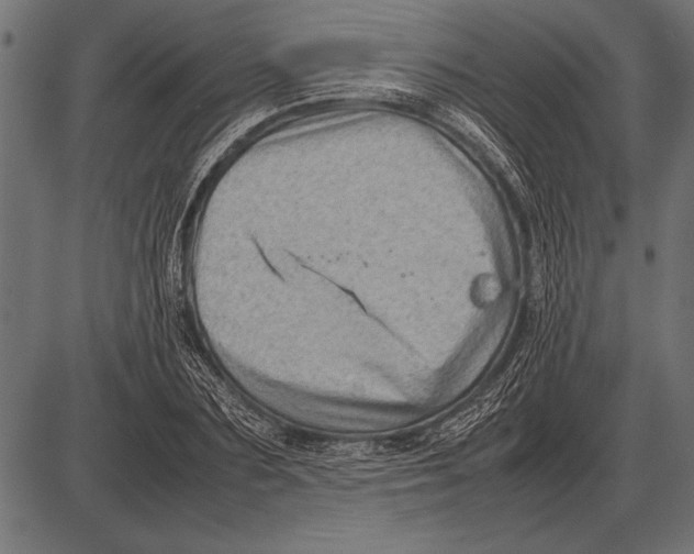 X0000085730883200704091441