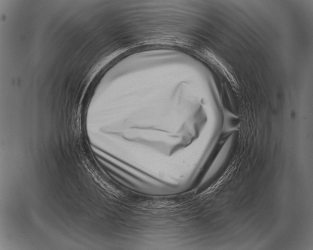 X0000085730884200704091441