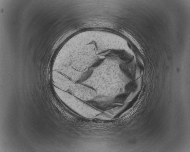 X0000085730885200704091441