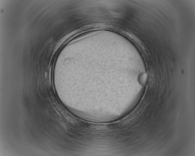 X0000085730886200704091441