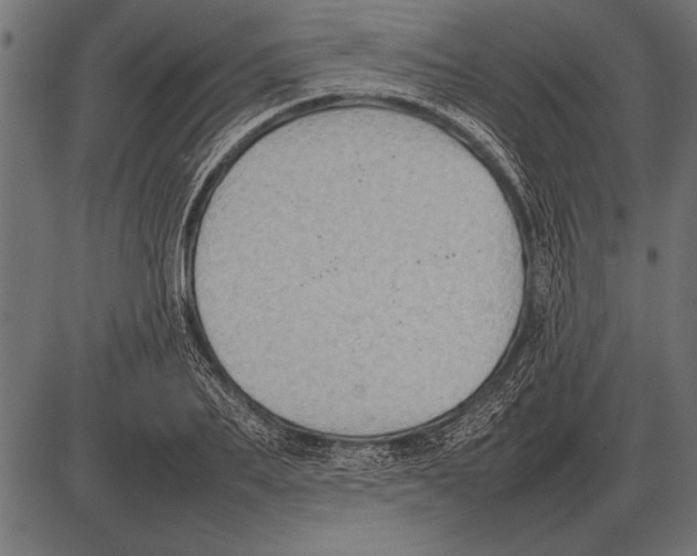 X0000085730887200704091441