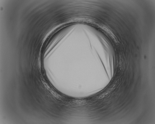 X0000085730888200704091441