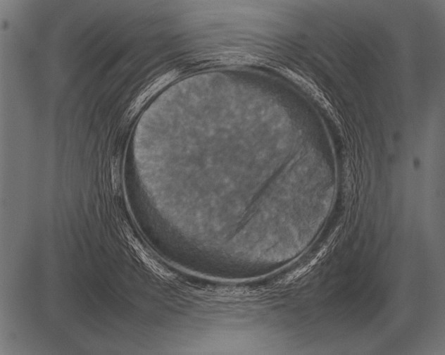 X0000085730889200704091441