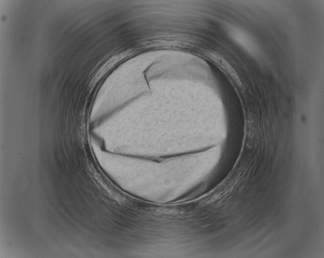 X0000085730890200704091441