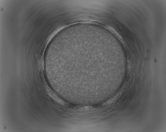 X0000085730891200704091441