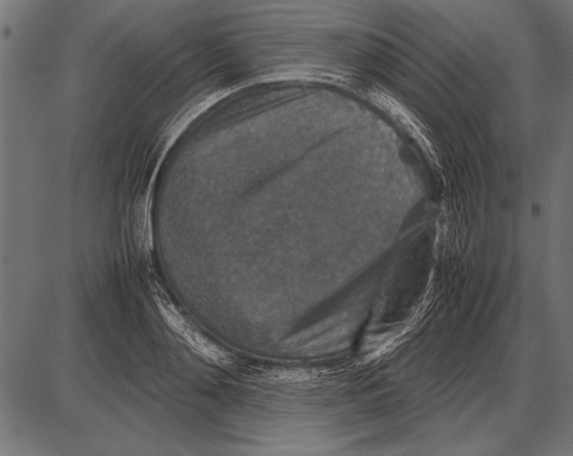 X0000085730892200704091441