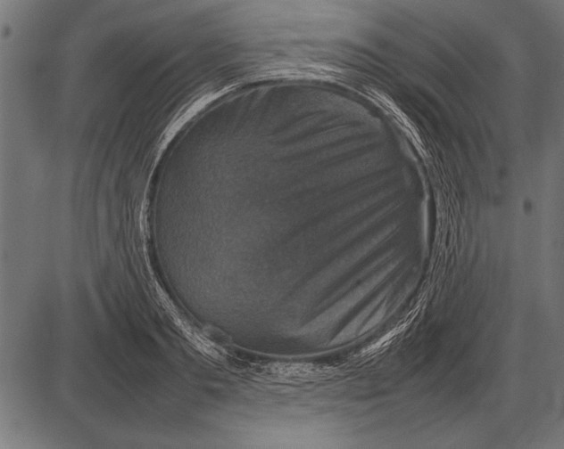 X0000085730893200704091441