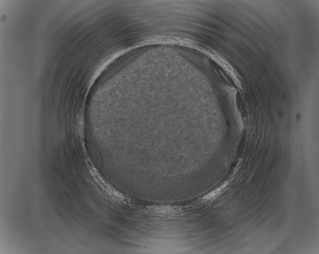 X0000085730896200704091441