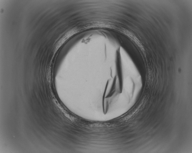 X0000085730898200704091441