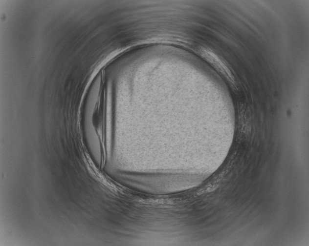 X0000085730900200704091441