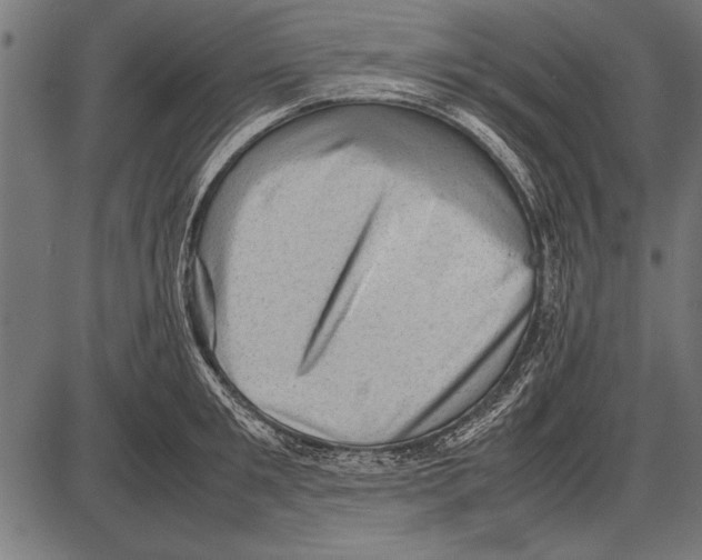 X0000085730901200704091441